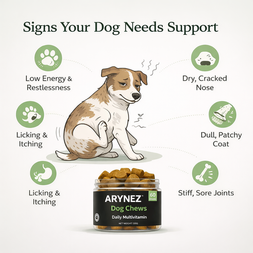 Arynez® Daily Multivitamin Chews 2 tub