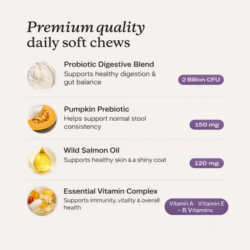 Arynez® Daily Multivitamin Chews 1 tub