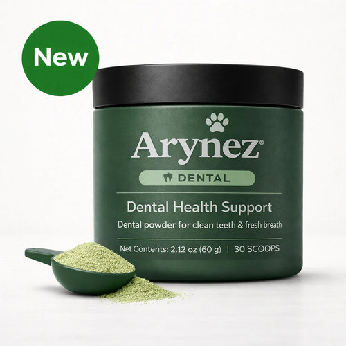 Probiotic Chews for Dogs