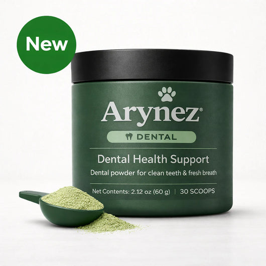 Probiotic Chews for Dogs