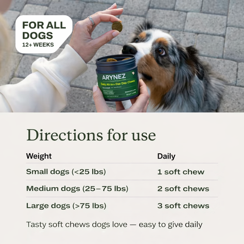 Arynez® Daily Multivitamin Chews 1 tub